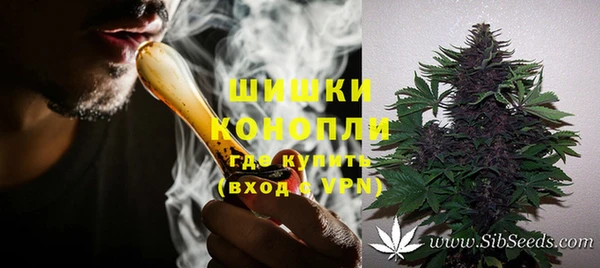 дживик Баксан